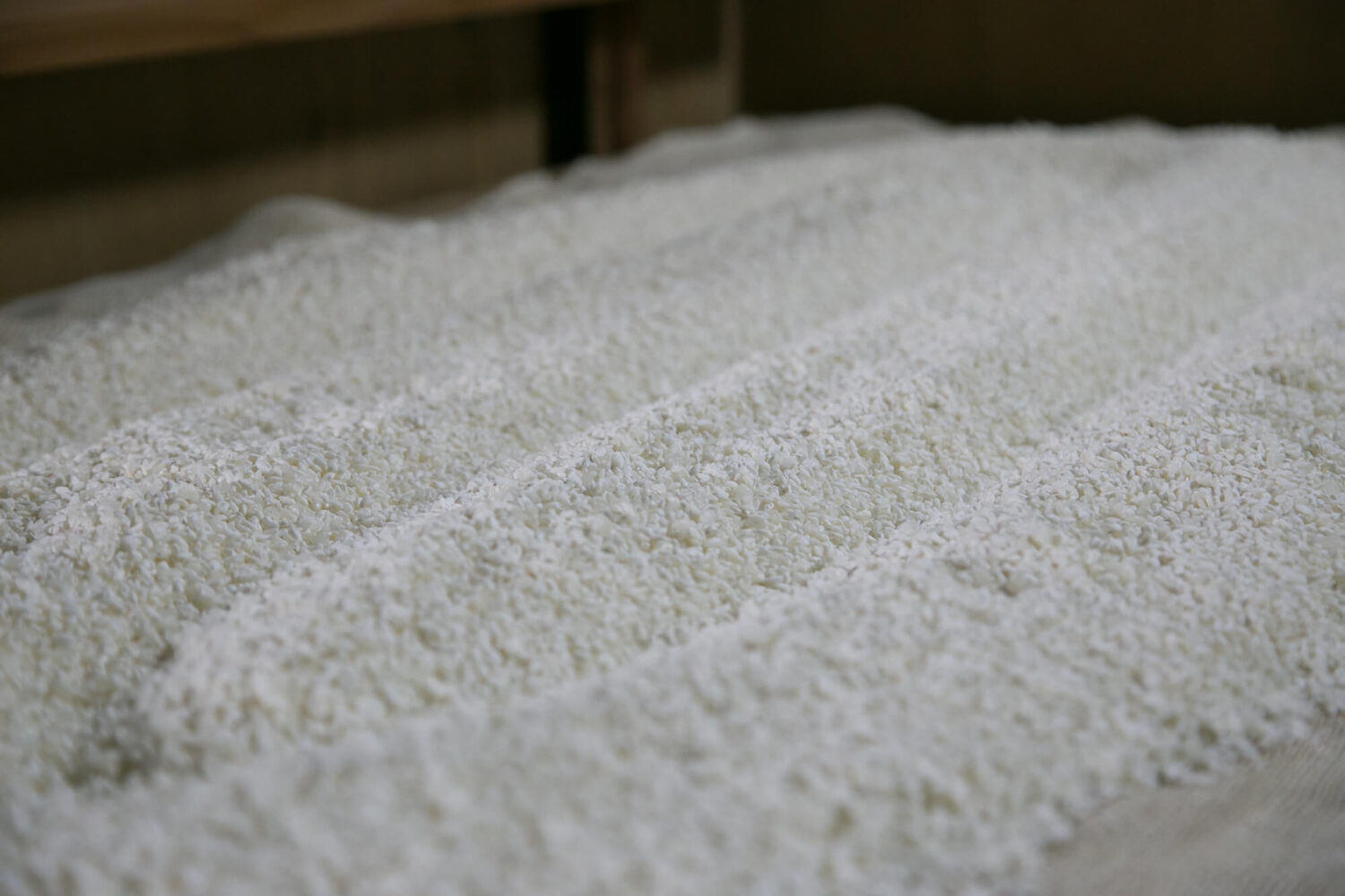 酒蔵見学 右田酒造