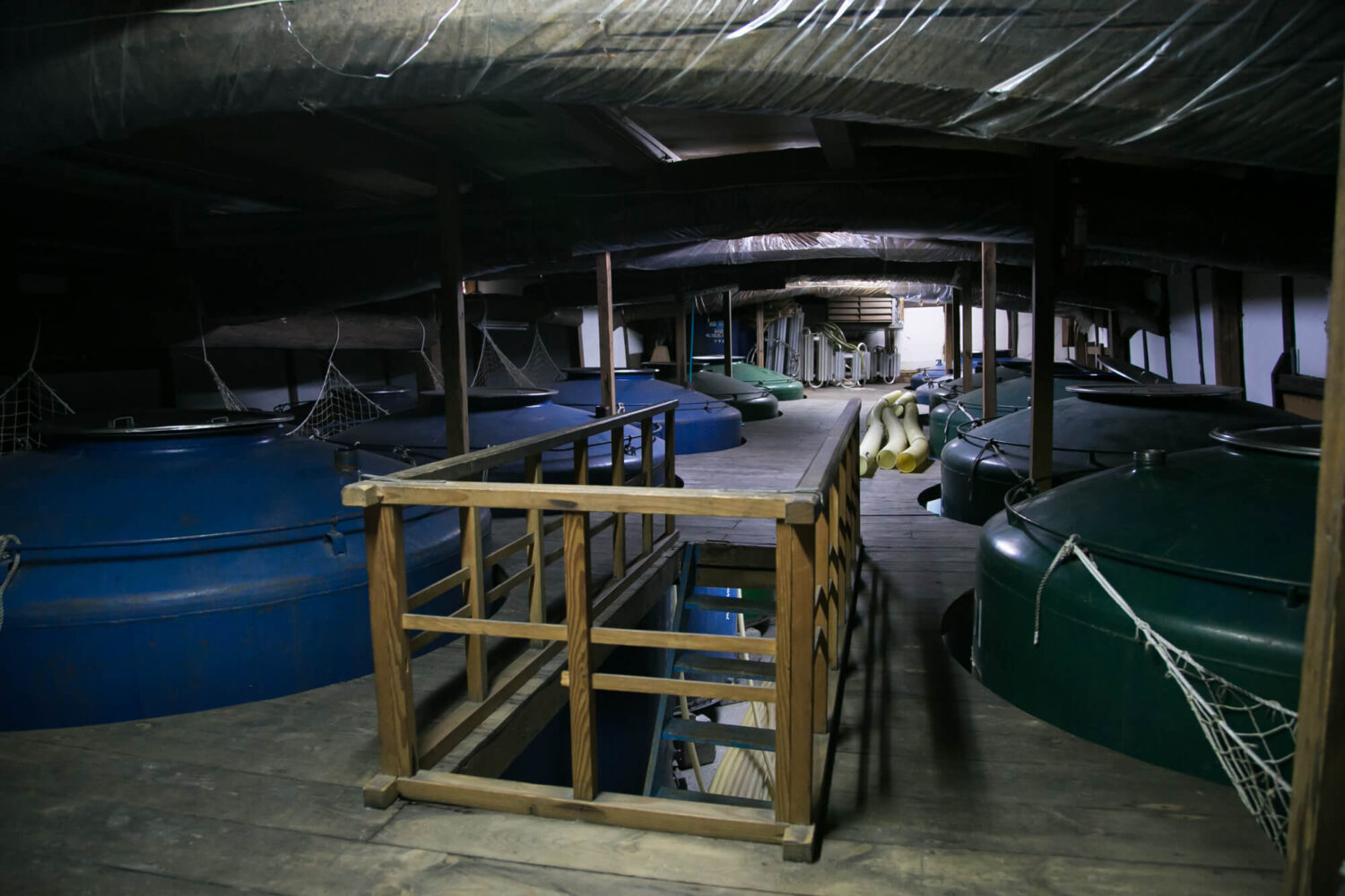 酒蔵見学 右田酒造