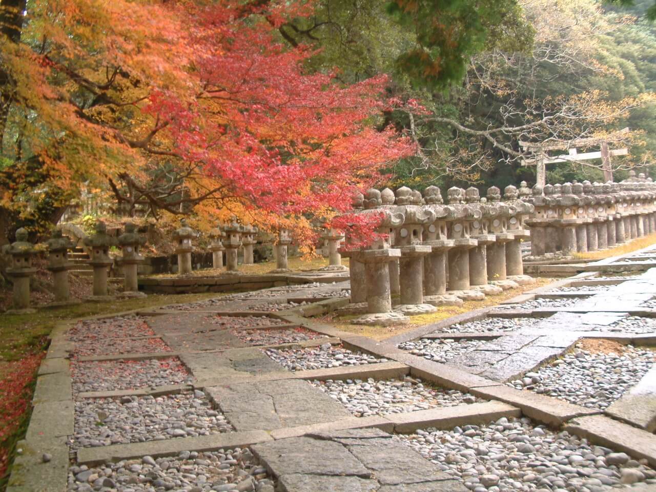 東光寺