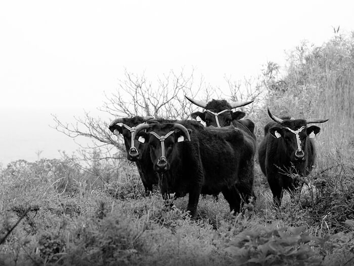 見蘭牛ダイニング 玄