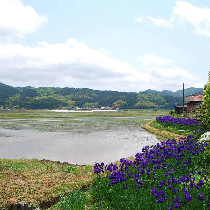 宇生賀盆地（埋れ木・神代杉）