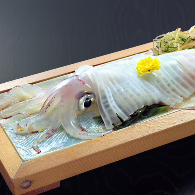 仙崎イカ
