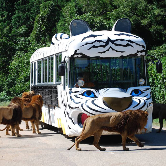 秋吉台自然動物公園サファリランド