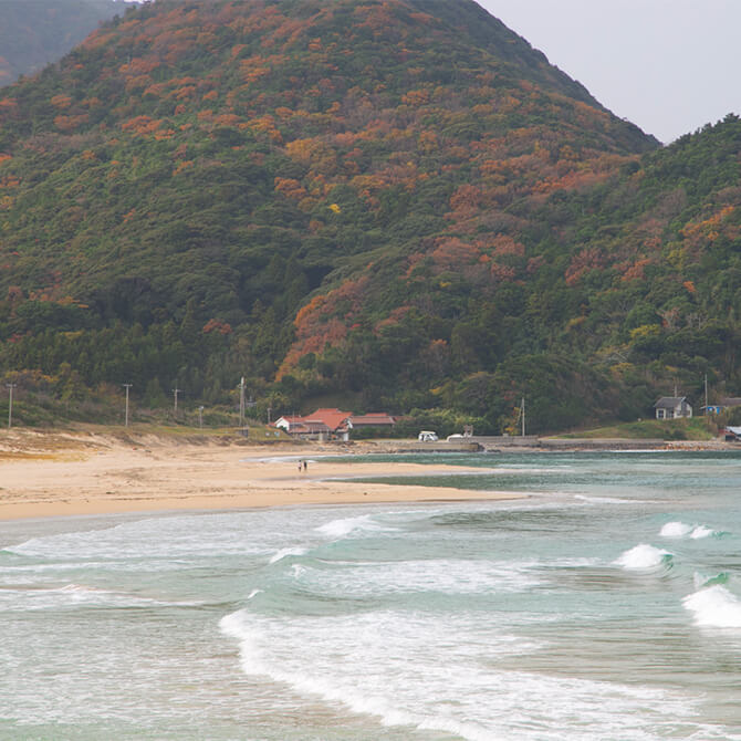 鳴き砂の清が浜