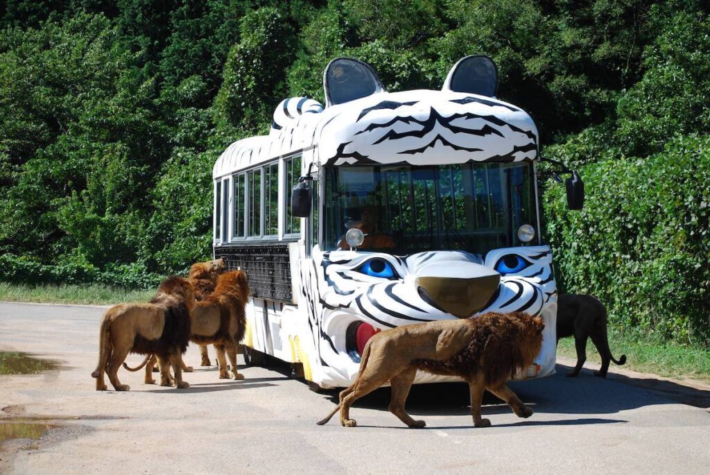 秋吉台自然動物公園サファリランド