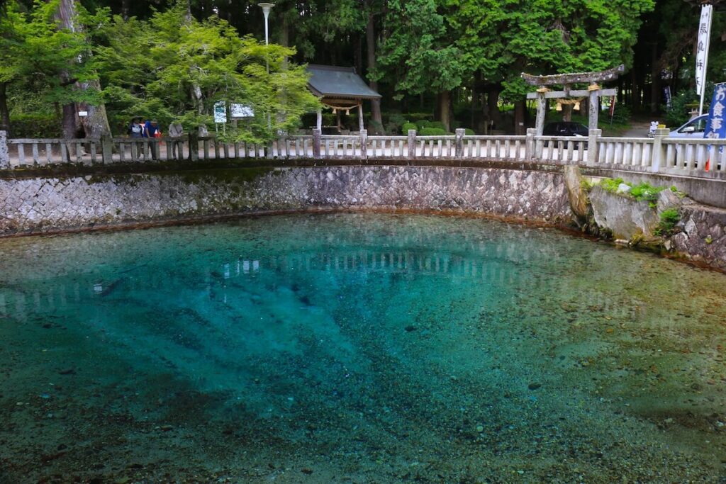別府弁天池