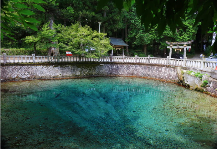 別府弁天池